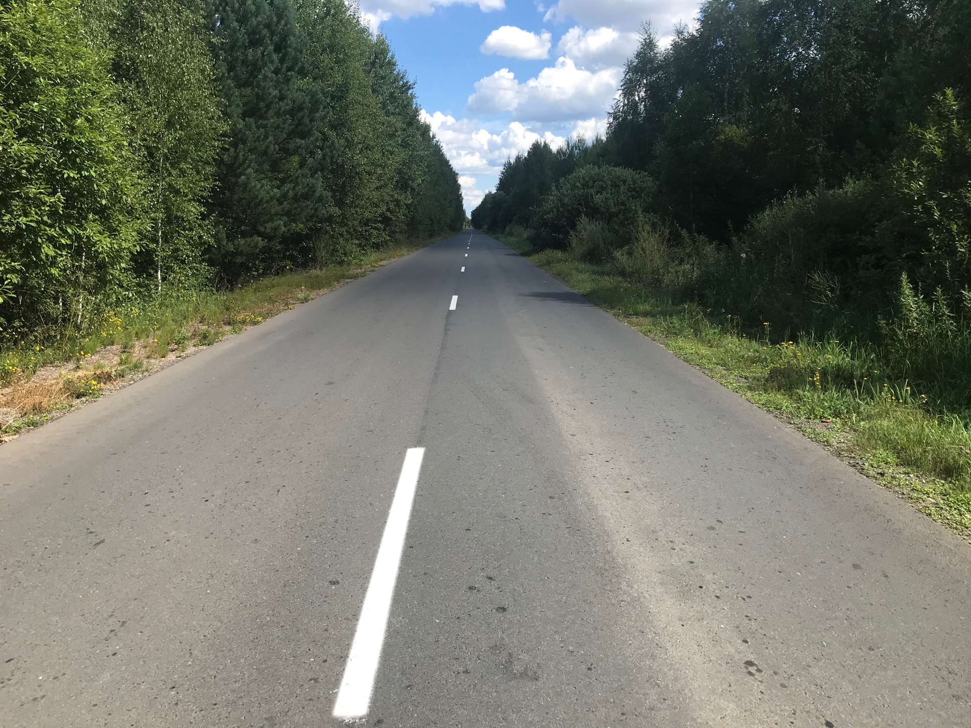 14 августа в Рязанской области пройдет два лыжероллерных марафона